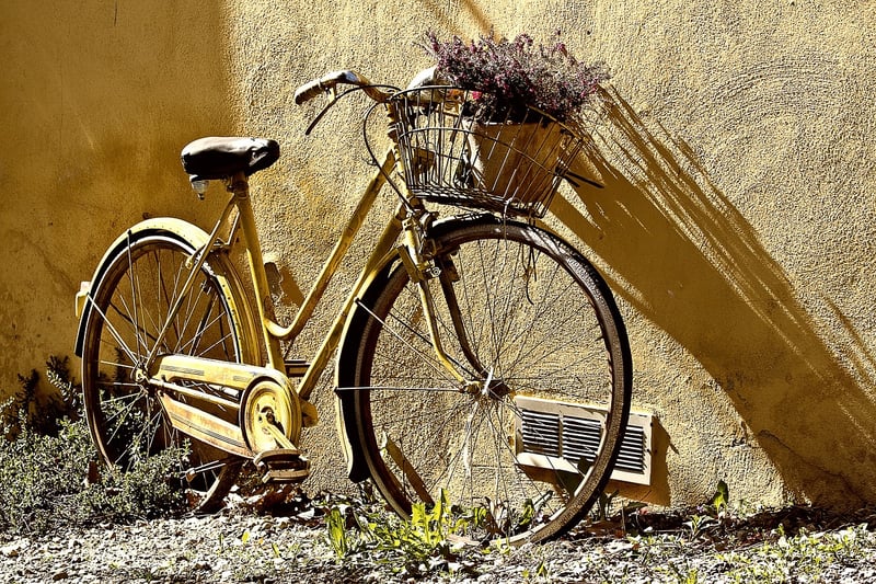 Bicycle wheel flower pot plant holder